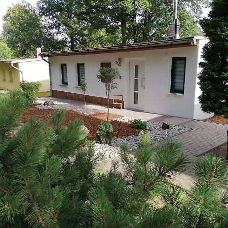 Ferienhaus Regina Neudorf  エクステリア 写真